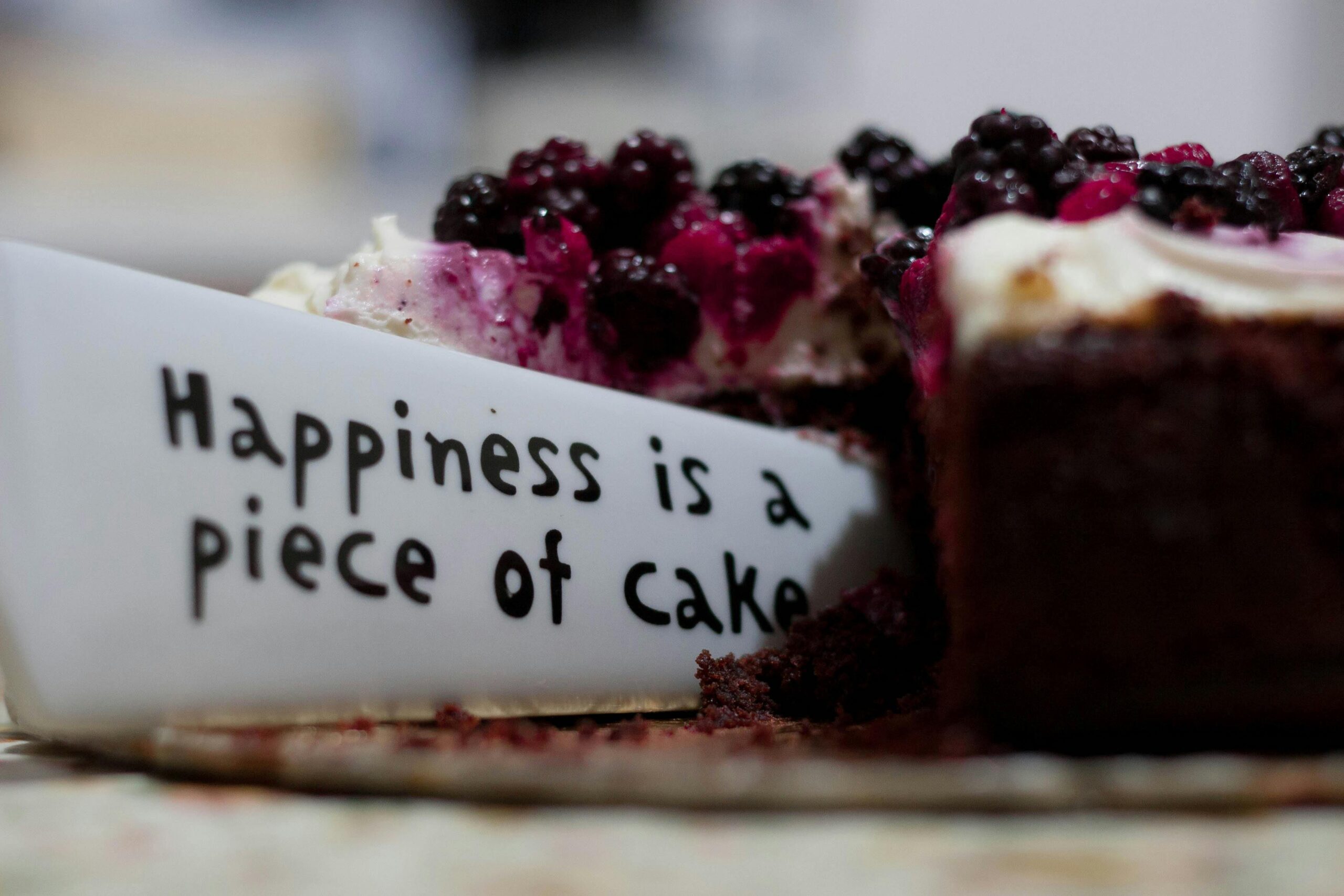 Happiness is a piece of cake close up photography